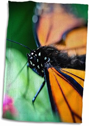 3Drose um monarca colorido Danaus plexippus Butterfly. - Toalhas