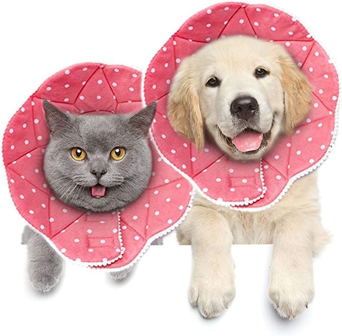 SunGrow Cat Cone Collar Soft, Cat Recuperação E Cone de colar