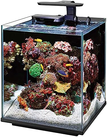 Coralife Aquarium Fish Tank Clip-On LED LED FECTURE para aquários de até 20 galões