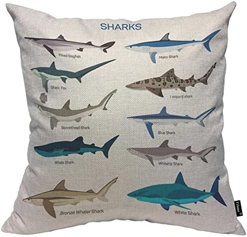 Capas de travesseiros de peixe de tubarão de Yibeas 18 x 18 polegadas diferentes tipos de tubarões espécies