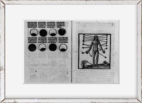 Fotografias infinitas 1516 Foto: Guia de lançamento de sangue | Fases, lua, pontos, chave para figura