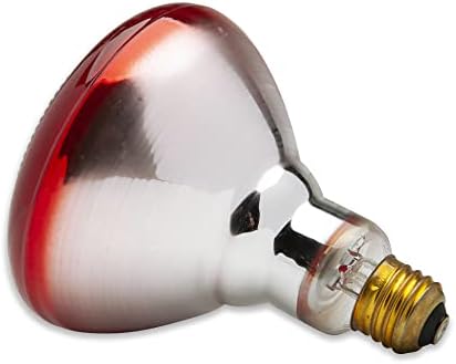 Substituição de precisão técnica para general Electric G.E WB08X10029 Lâmpada infravermelha vermelha de lâmpada