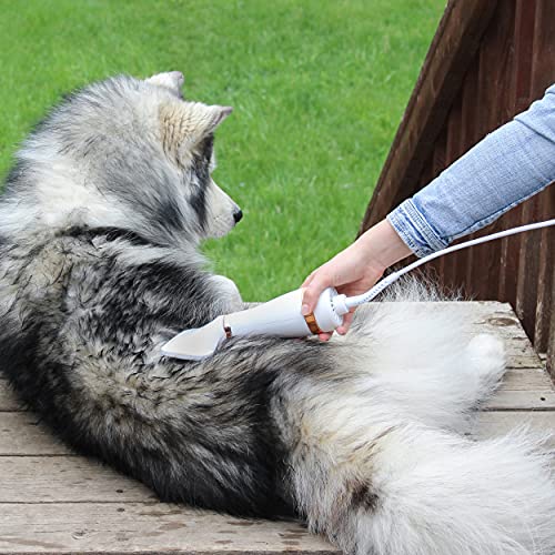 Mimu Pet Hair Secer Brush 2 Termature Dog Secador de cabelo Pet Helfing Hair secador escova