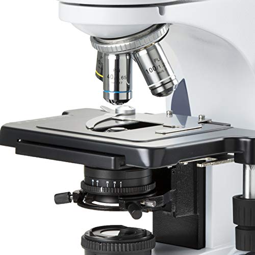 Microscópio binocular IScope EWF 10X/22 mm Olheepieds, Plano PLI 4/10/S40/S100X OBJETIVOS IOS Objetivos,