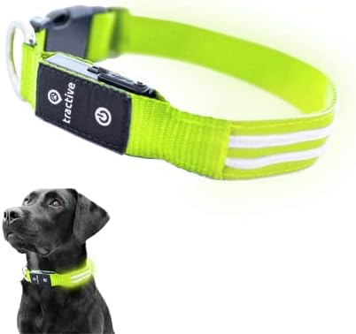 Cola de cachorro LED de LED de tração - 3 modos leves para caminhada noturna, impermeável, recarregável,
