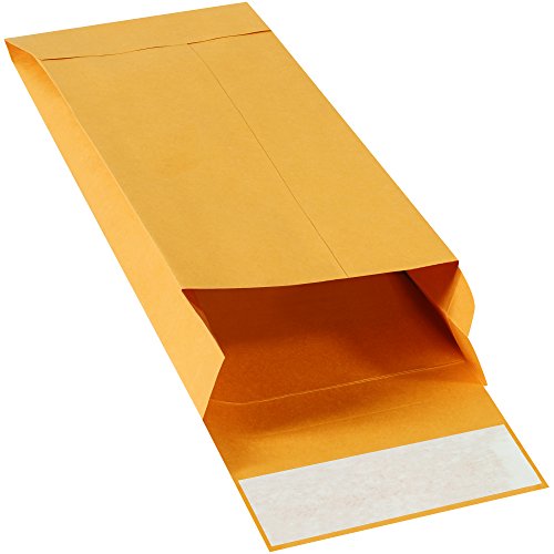 Parceiros Brand Pen1069 Envelopes auto-serenos, 6 x 9, branco