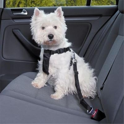 Wowmo Pet Dog Ajuste Ajuste Automóvel Belto de Seatamento - Belândia de Segurança de Seus Automotivos