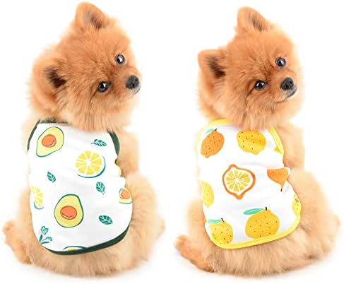 Pequena camiseta de camiseta de fruta de fruta para cães para cães de cachorro