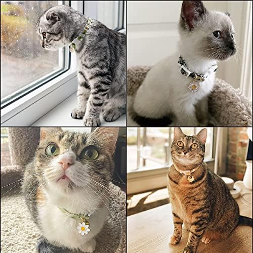 3 Pacote de gato floral com colares de gato de gato de gato de colarinho de gatinho ajustável Bell