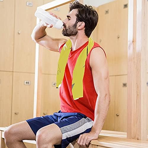 Deyya Microfiber Gym Towels Sports Sports Fitness Workout 2 pacote reutilizável toalha de suor macio para ioga