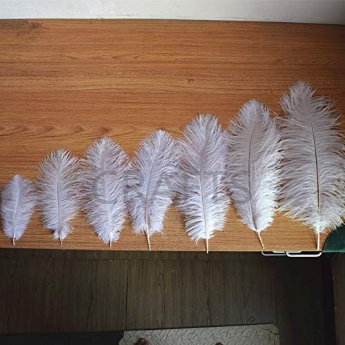 Pumcraft Jóias Diy 10pcs/Lote Elegante Avestruz Branca Feathers 10-75cm para Craft Diy Jewelry Wedding