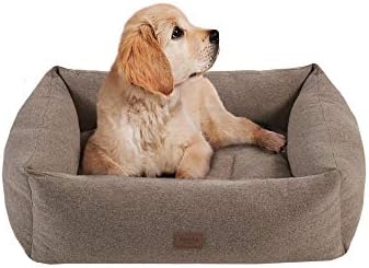Martha Stewart Charlie Modern Dog Lounge Sofá, camas macias de animais de estimação almofada, capa removível