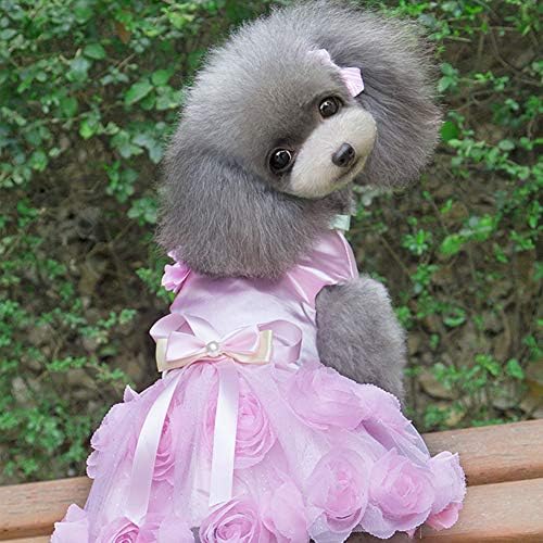 Vestido de noiva de cães nacoco gato de saia colorida cães de aniversário festas de animais de estimação para cachorros