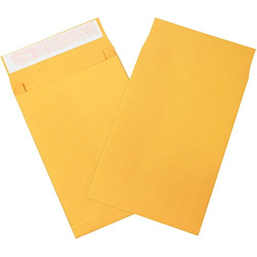 Lógica de fita TLEN1068 Envelopes auto-serenos, 6 x 9, Kraft
