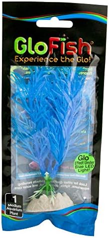 Planta fluorescente glofish, azul pequeno, decoração de aquário, fluoresces sob LEDs azuis