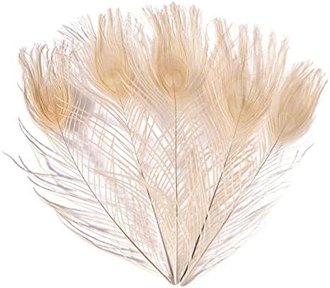 Ttndstore 10pcs/lot tingimento de penas de pavão por comprimento 25-30cm 10-12 polegadas Pavão