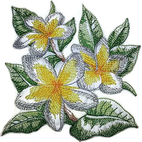Esboço de flores de flores personalizadas [Frangipani esboçado] Ferro bordado ON/Cost Patch [4,86 *
