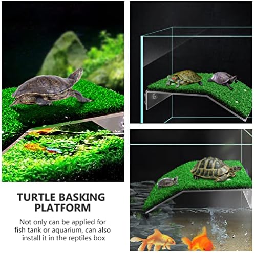 Plataformas de tartaruga de tartaruga 2pcs 2pcs Cup de tartaruga de tartaruga de tartaruga de tartaruga para tartarugas