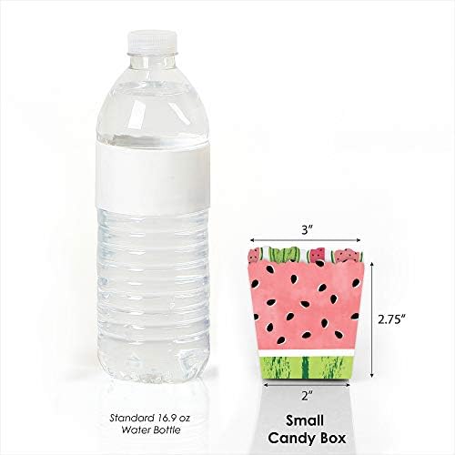 Big Dot of Happiness Sweet Watermelon - Party Mini Favor