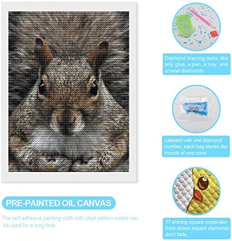 Larsd 5d Diamond Painting Kits Squirrel Face Diy Pintura por número de números Drill Full Round Diamond