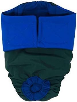 Barkertime Royal Blue em fralda de gato premium à prova d'água verde, s, sem calças de pista de orifício de cauda