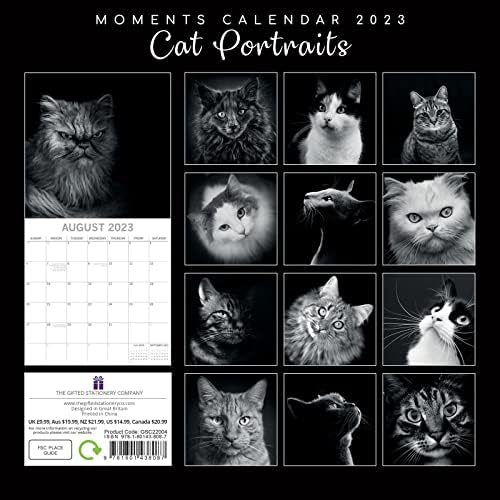 2023 Calendário de parede quadrada, retratos de gatos, fotos de 16 meses em preto e branco com 180 adesivos