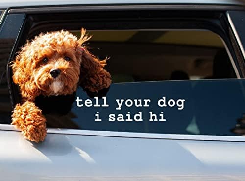 Diga ao seu cachorro que eu disse oi adesivo para carros engraçados carros de vinil adesivo decalque da janela