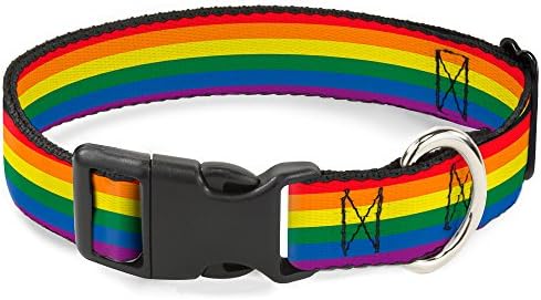 Buckle-Down PC-W30693-L Bandeira Gay Pride Gay Rainbow Plástico Colo