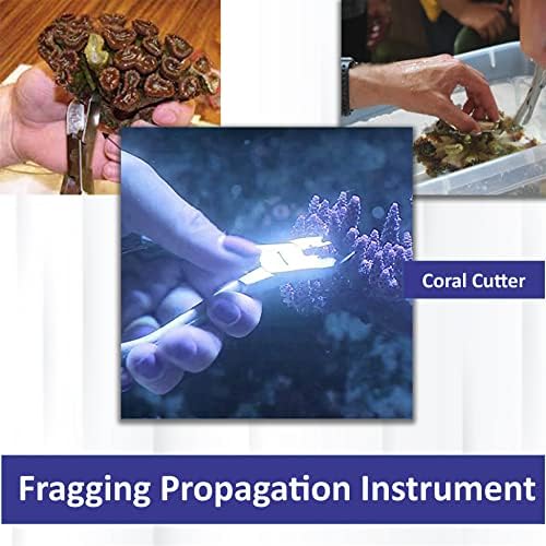 A2ZSCilab Instruments Frag Cutters 5.5 - Cuttador de coral duro de serviço pesado - fabricado
