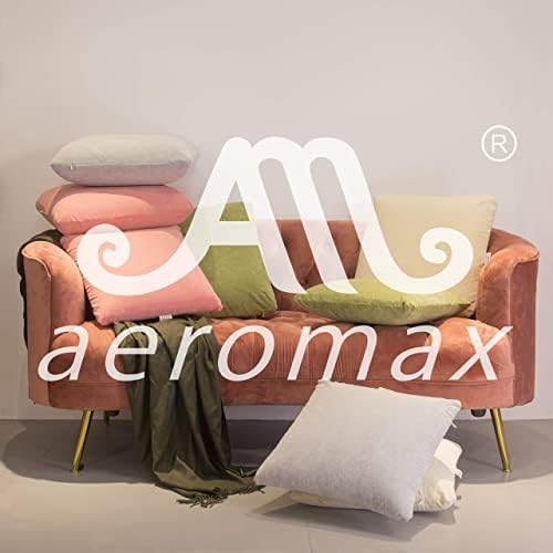 AM AEROMAX 20 × 20 Pillow Insert Memory Foam Throw Pillow Insert Sham Square para Sofá de sofá