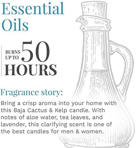 Elementos essenciais por velas perfumadas de velas-lite, Baja Cactus & Kelp Fragrance, uma 9 oz.