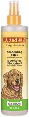 Abelhas de Burt para cães Spray de desodorização natural para cães | Melhor spray de cachorro para cães fedorentos