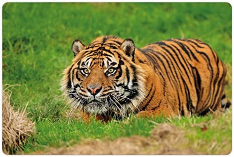 Ambsosonne Tiger Pet Tapete Para comida e água, Sumatra Feline escondido em emboscada enquanto perseguia seus