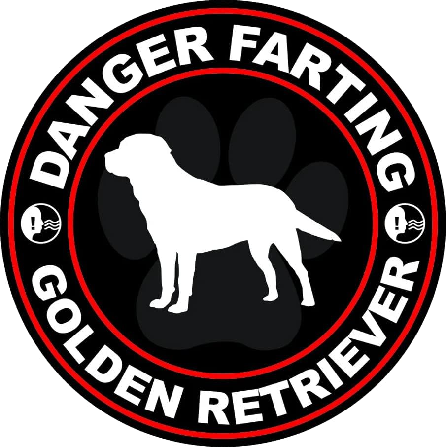 Perigo peidando o adesivo Golden Retriever auto adesivo de vinil cão canino PET - C676 - 6 polegadas ou 15