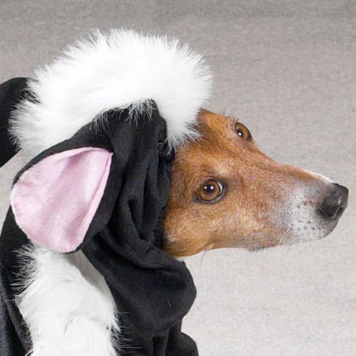 Traje de cão fedorento canino casual, médio, preto/branco
