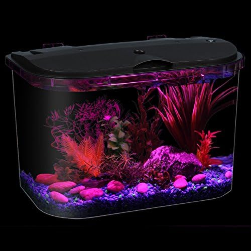 Koller Products Kit de aquário de 5 galões com iluminação LED e filtro de energia, ideal para uma