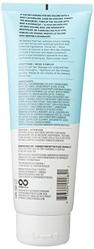 Shampoo de volume vivaz da Acure Echinacea vegano, branco/azul, hortelã, 8 fl oz