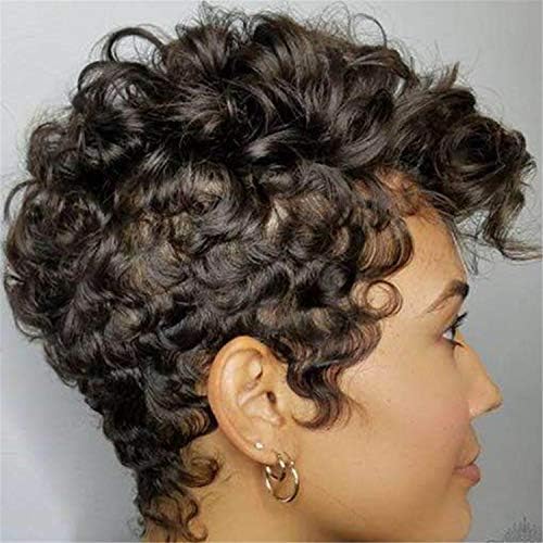 Andongnywell Short Afro Curly Human Hair Wigs para Mulheres Negras Chegando Densidade Curly Afro peruca