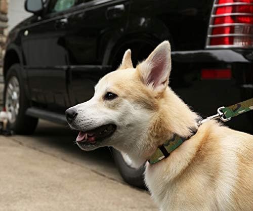 Colarinho de cachorro para cães de pet -animal de estimação - camuflagem colar de cachorro à prova