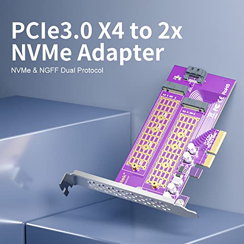 10GTEK 2-PORT M.2 NVME Adaptador M-key e B-key, PCIE x4 Gen3.