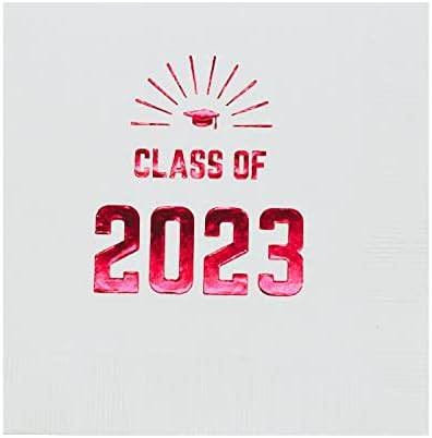 Pacote de Frenzy Party Frenzy, aula de 2023-25, prata