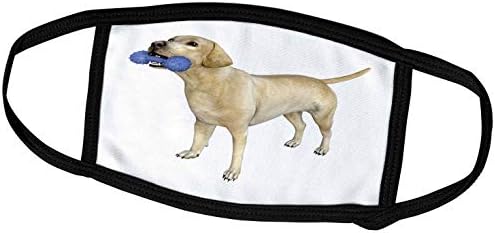 3drose boehm Graphics Dog - Labrador bege em pé com um brinquedo de cachorro azul - máscaras faciais