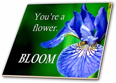 Imagem de 3drose de palavras você é uma flor flor - telhas