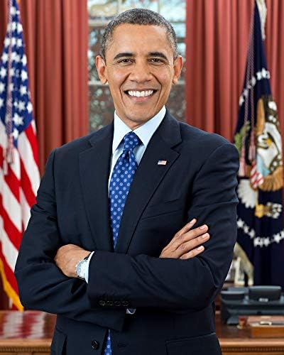 Fotografia de Barack Obama - obra de arte histórica de 2012 - Retrato do presidente dos EUA - - Matte