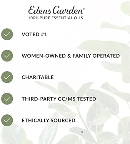 Edens Garden Best of the Melhor Oil Essential 6 Conjunto, melhor kit puro de aromaterapia para