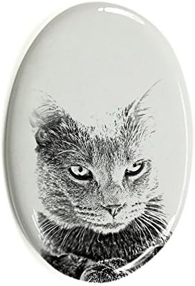 Art Dog Ltd. Chartreux, lápide oval de azulejo de cerâmica com uma imagem de um gato
