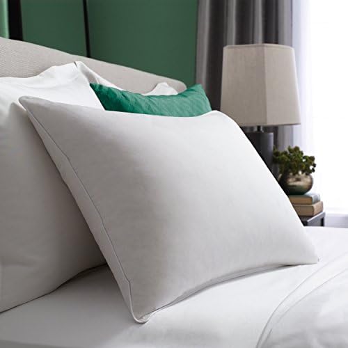 Pacific Coast Hotel Symmetry Pillow 230 Counting Down & Resilia Feathers Machine Wash & Dry - King
