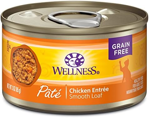 Bem-estar, entrada de galinha sem grãos de saúde com comida de gato molhada, ingredientes naturais,