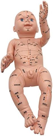 Modelo de massagem Kh66zky - Modelo de Acupuntura Pediátrica - Medicina Chinesa Meridian Ensino de
