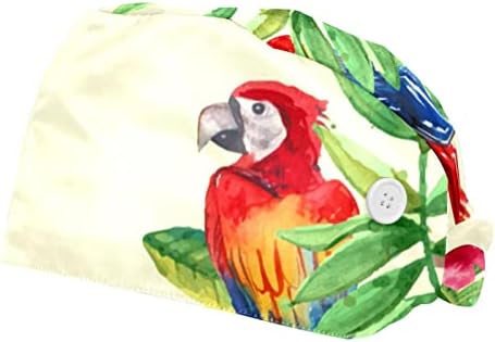 Pássaro de papagaio tropical com tampa de trabalho com PLAM com botões e banda de suor Chapéu de
